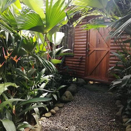 Arenal Rustic Lodge Alajuela Extérieur photo