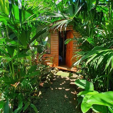 Arenal Rustic Lodge Alajuela Extérieur photo