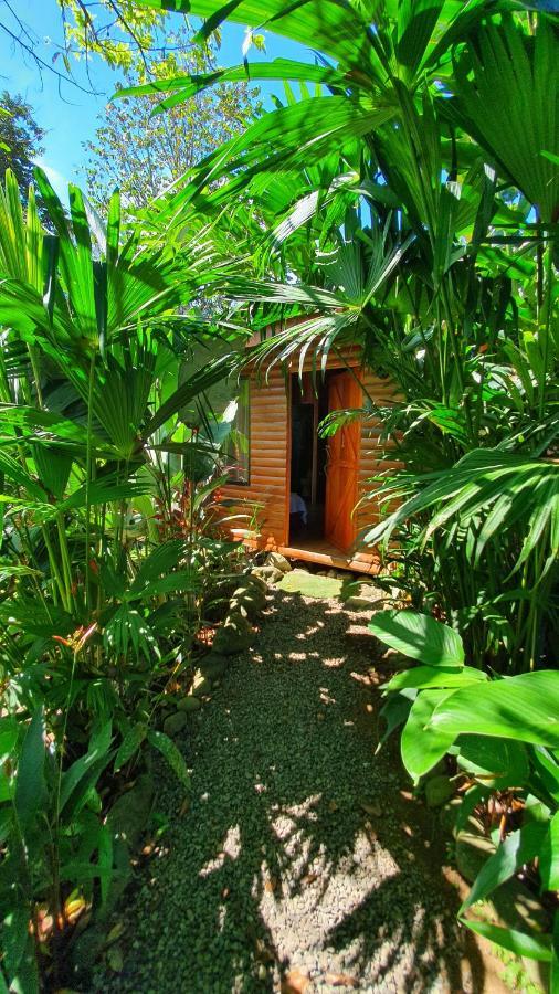 Arenal Rustic Lodge Alajuela Extérieur photo