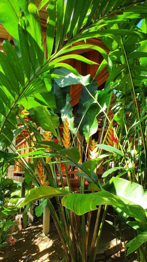 Arenal Rustic Lodge Alajuela Extérieur photo