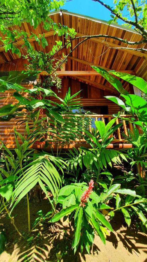 Arenal Rustic Lodge Alajuela Extérieur photo