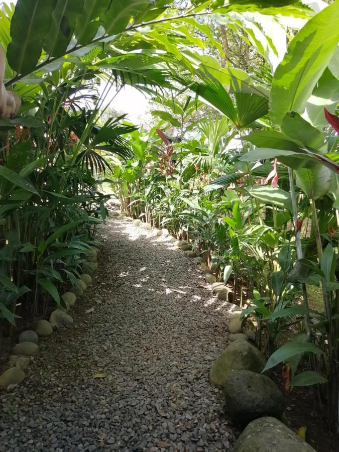 Arenal Rustic Lodge Alajuela Extérieur photo